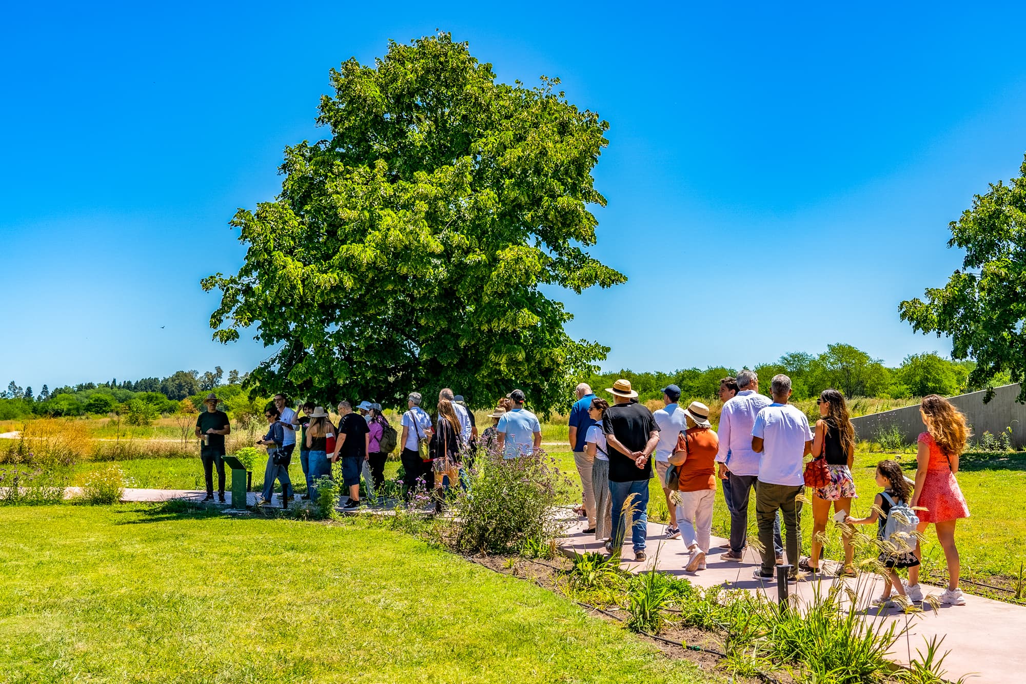 Visita guiada en familia y amigos