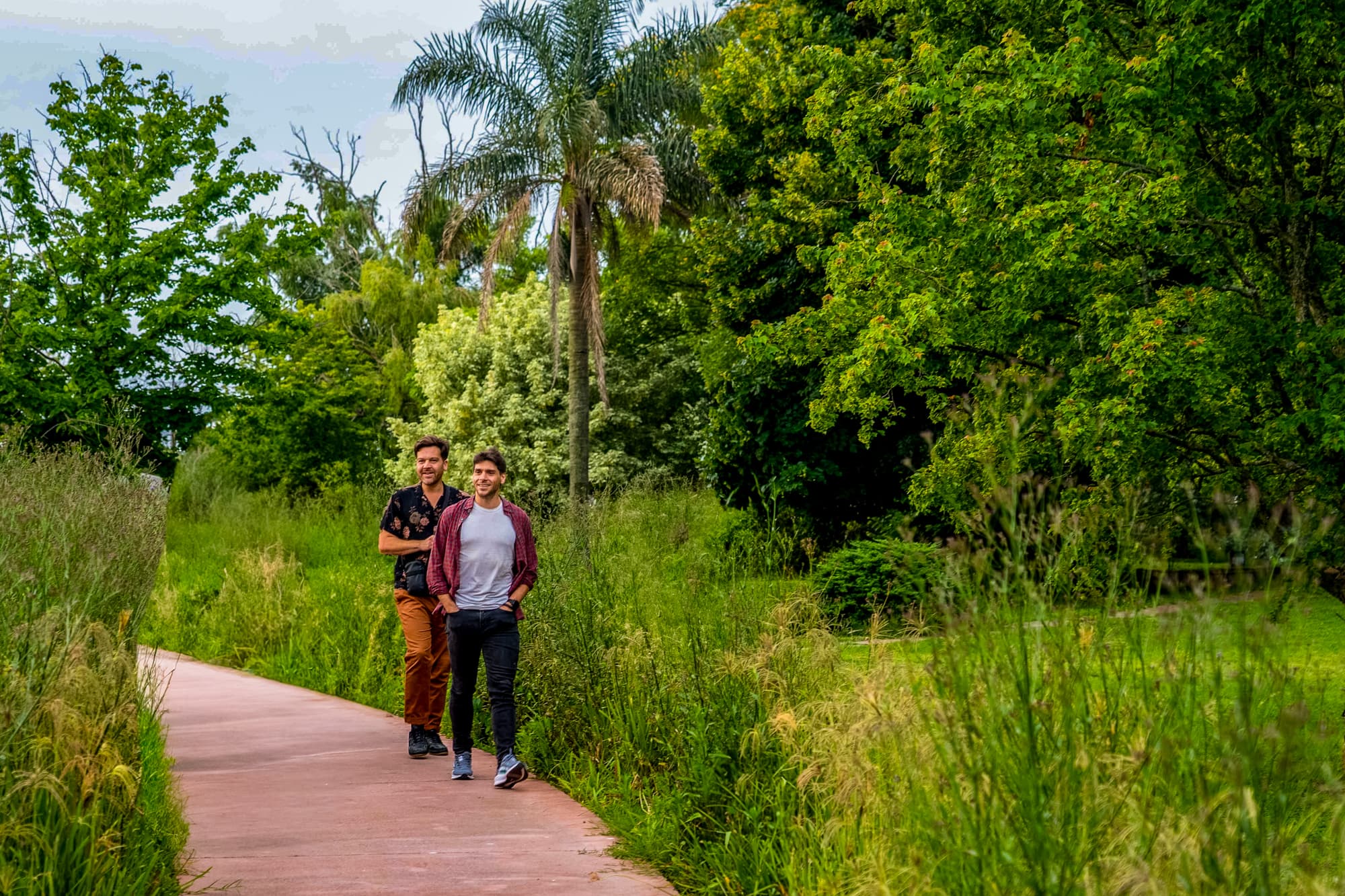 Paseo libre por arte, naturaleza e ilustración